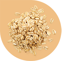 RAISIO_81385_wholegrain_rolled_oats_H_web